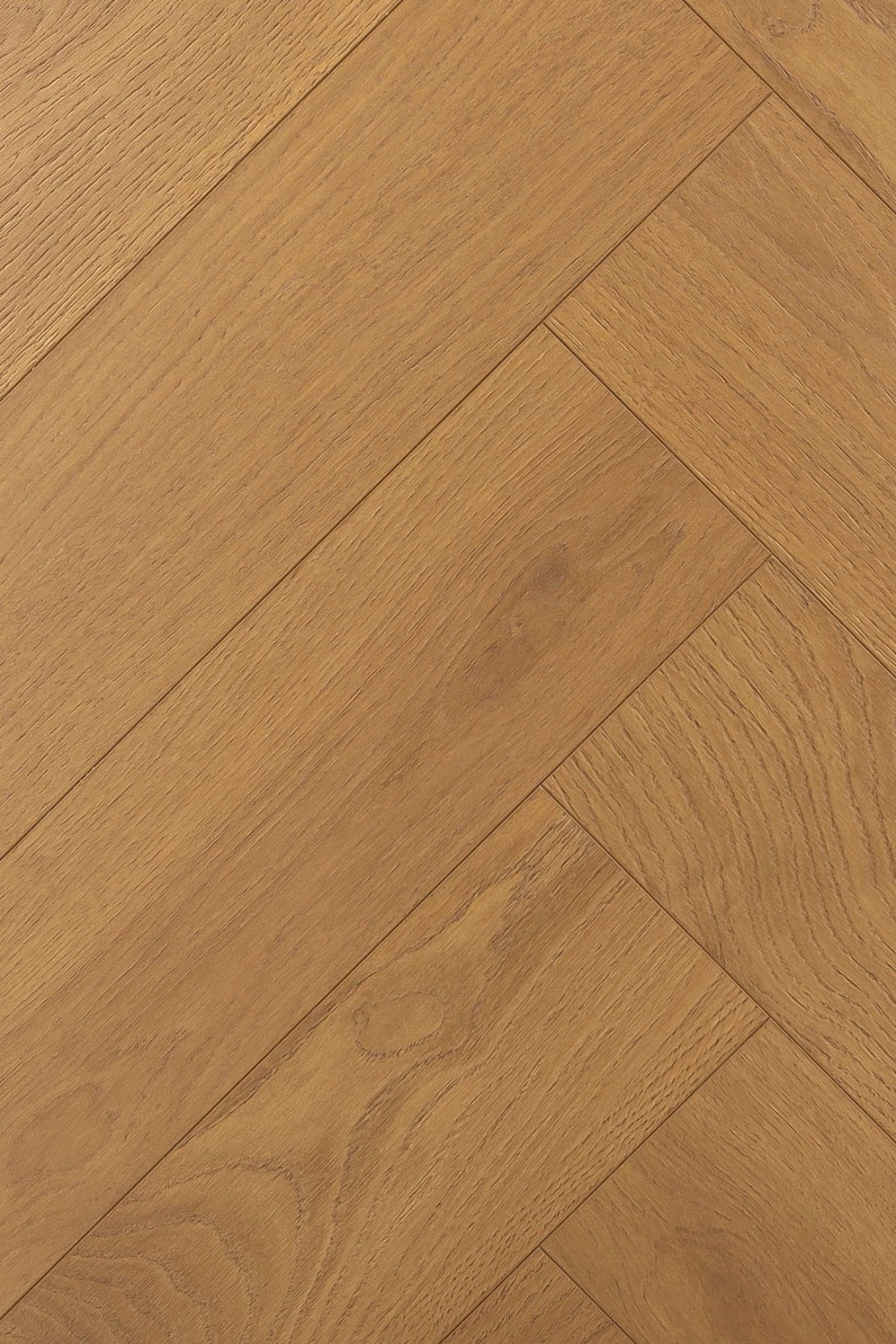 Дуб Джусто | Justo oak 1F339