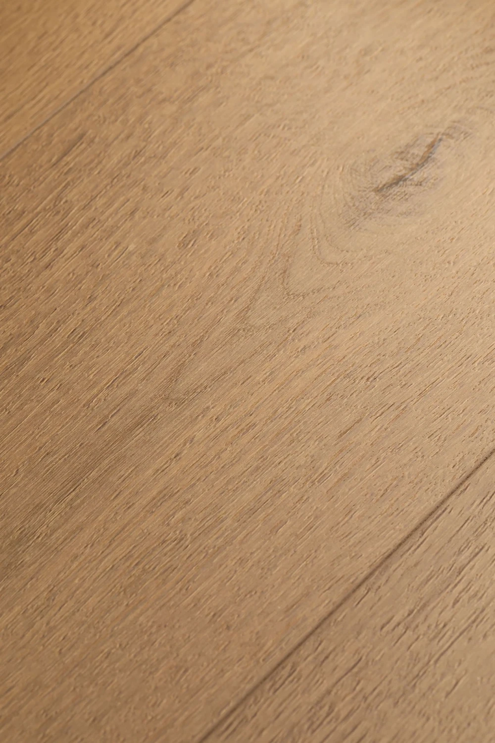Дуб Секвэй | Sequay oak 1F430