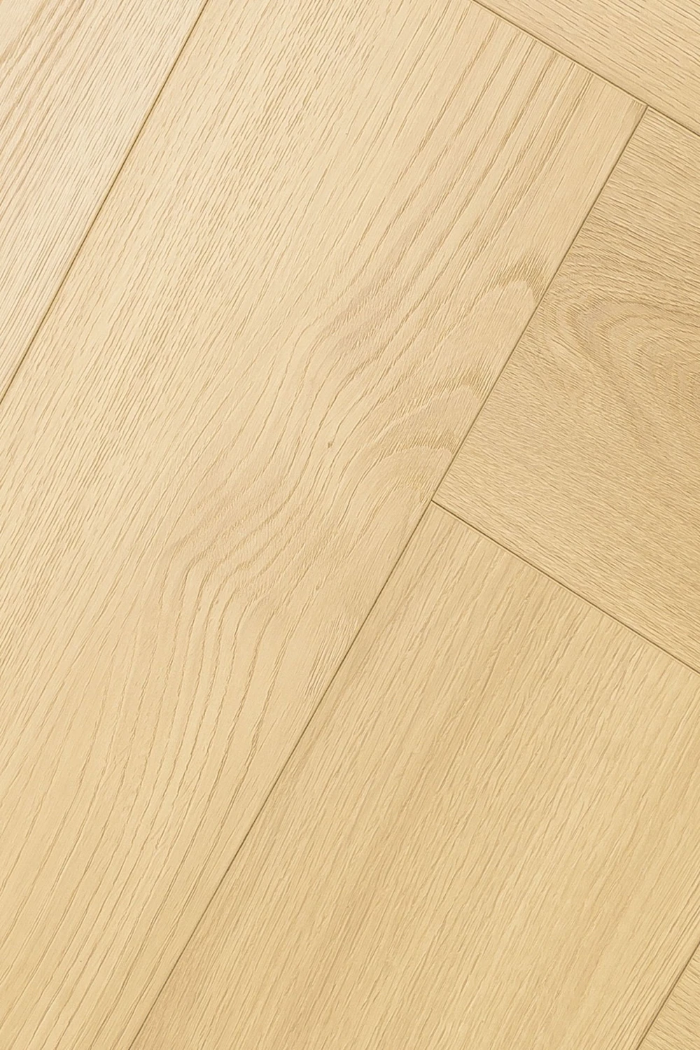 Дуб Лояль | Loyal oak 1F408