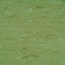 101 Avocado Green