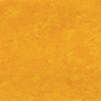 117 Papaya Orange
