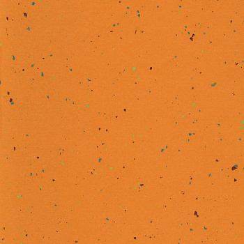 144-075 apricot