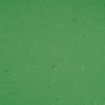131-006 vivid green